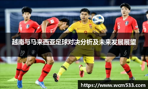 越南与马来西亚足球对决分析及未来发展展望